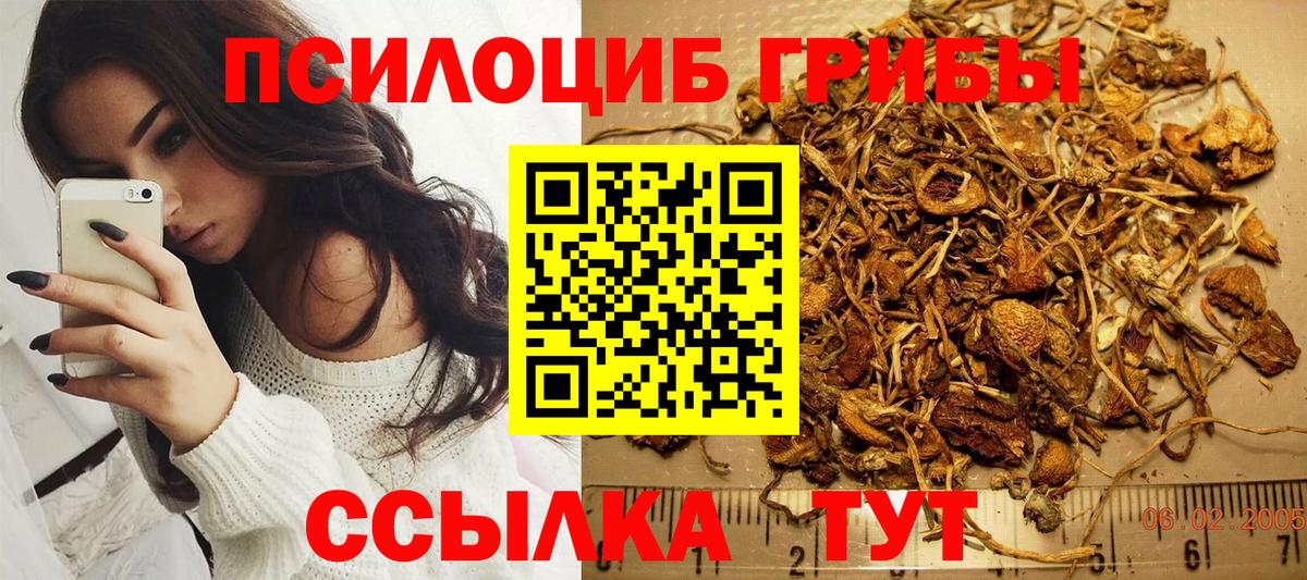 Псилоцибиновые грибы Cubensis  Вход с VPN  Дальнегорск  Галлюциногенные грибы мицелий 
